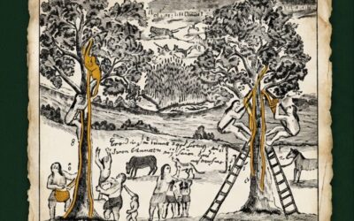 El Oro Líquido de la Selva. Los Secretos Ancestrales de la Miel en Misiones